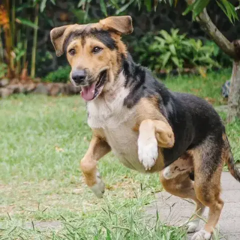Diego