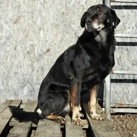 Handsome photo 2