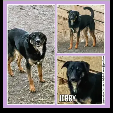 Jerry