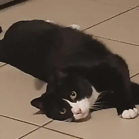 Mine