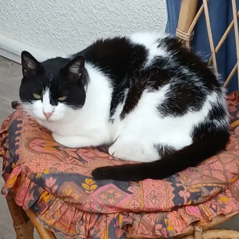 Louise