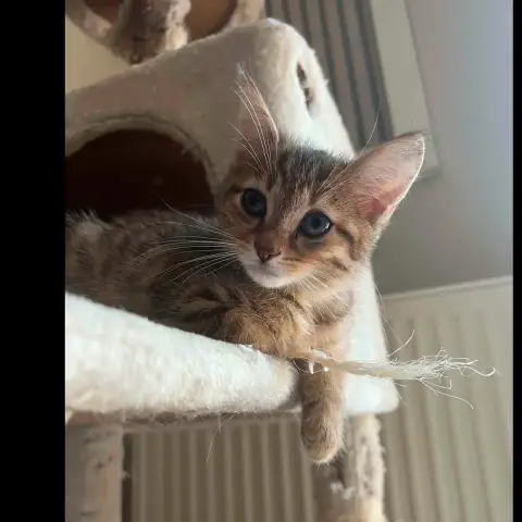 Sam
