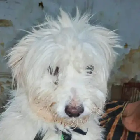 Patty photo 2