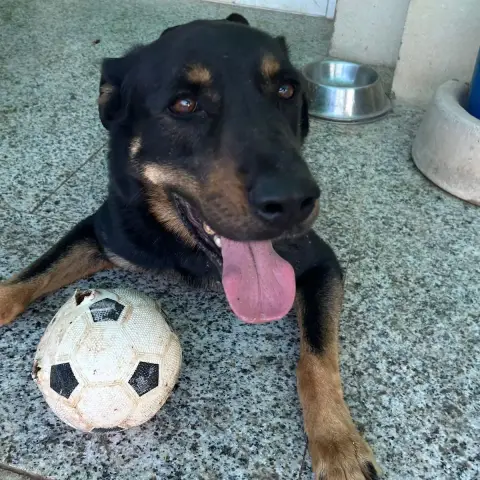 Max photo 2