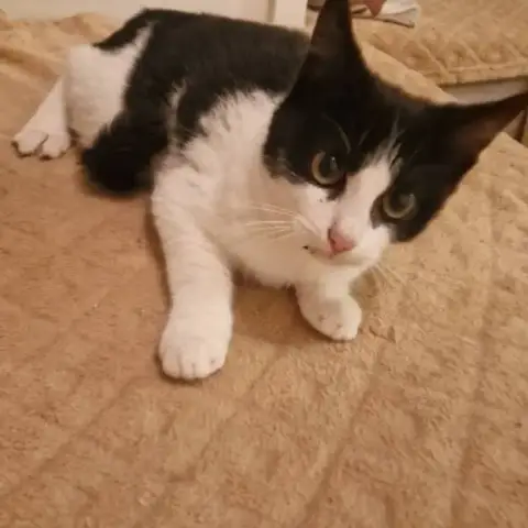 Minnie