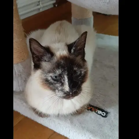 Hermine photo 2