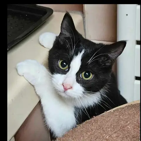 Usko
