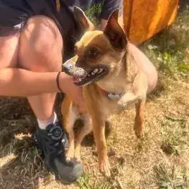 Adopter Tracy
