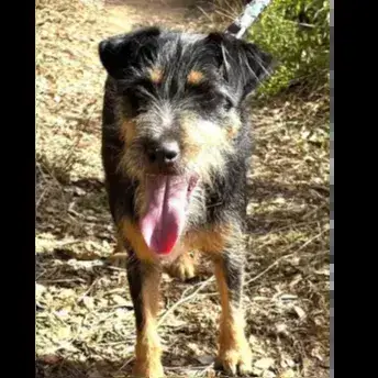 Jack photo 2