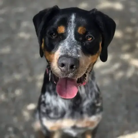 Jack