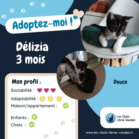 Délizia photo 3
