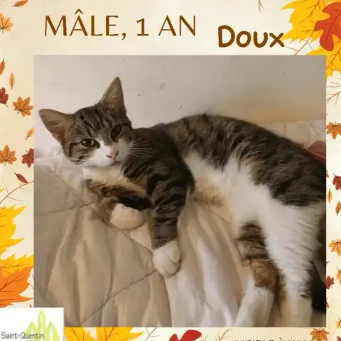 Felix