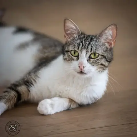 Michka photo 3