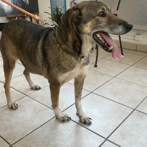 Roxanne photo 3