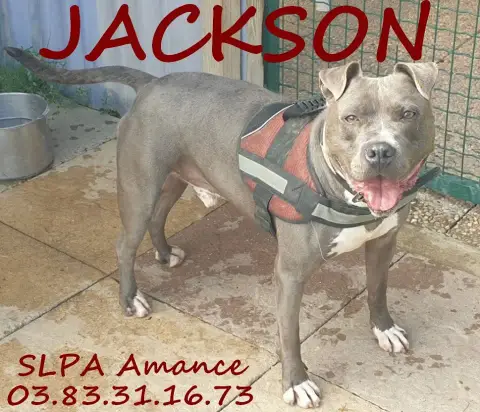 Jackson