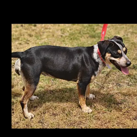 Lexie photo 2