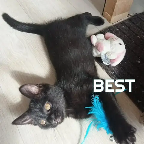 Best photo 3