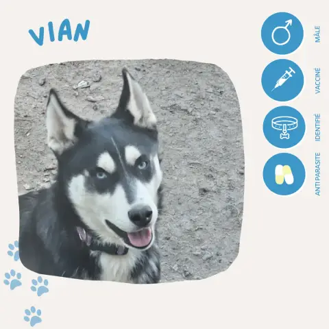 Vian