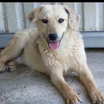 Clementine photo 2
