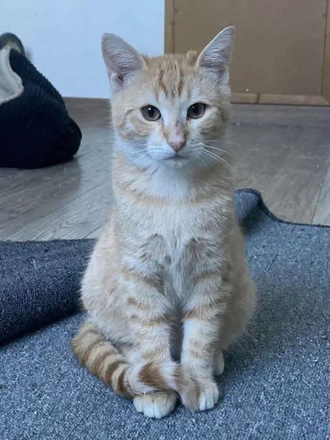Einstein