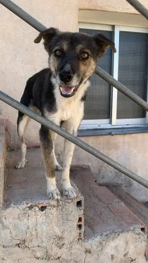 Maya photo 2