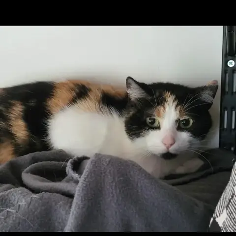 Luna Et Mimi photo 2