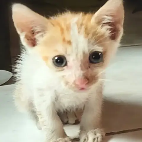 Benny