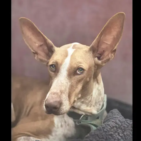 Maggie photo 2