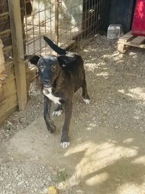 Zora photo 2