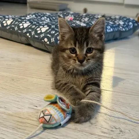 Billy