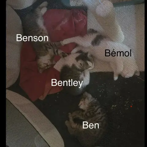 Ben photo 3