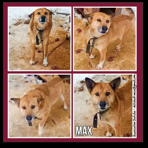 Max