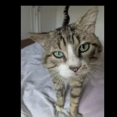 Grosse Tête