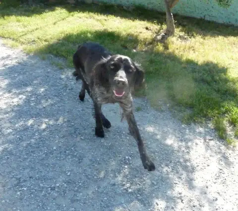 Zoe