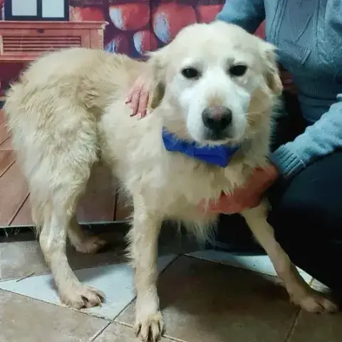 Hero