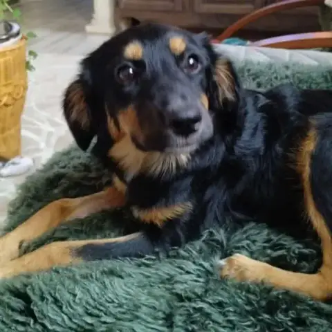 Nona