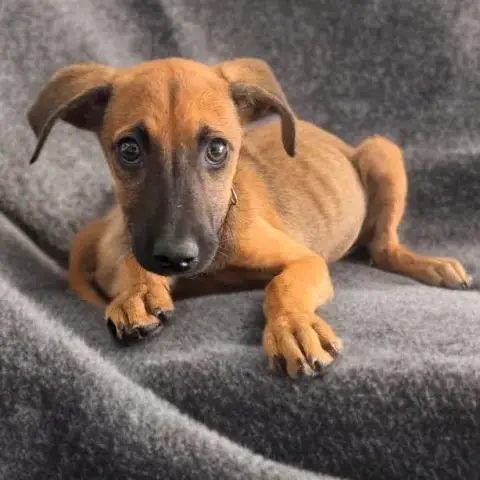 Rookie photo 3