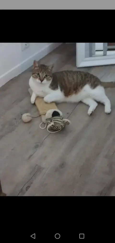 Takie