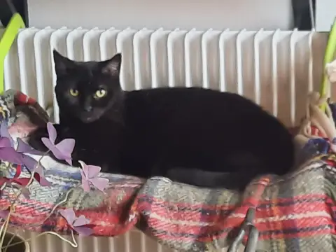 Louise