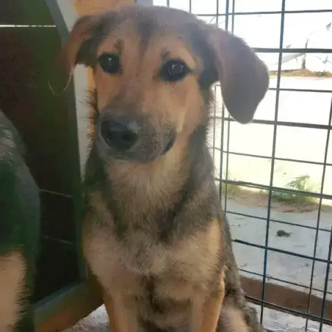 Zoe