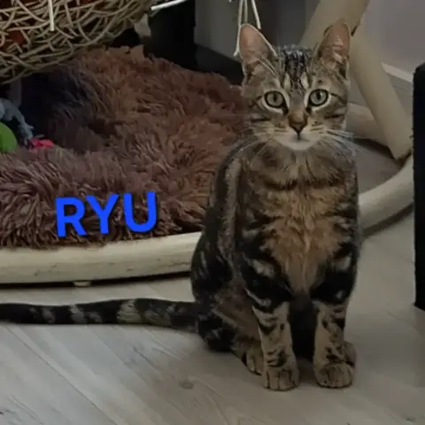 Ryu
