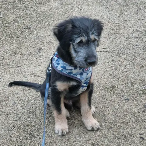 Vulcan