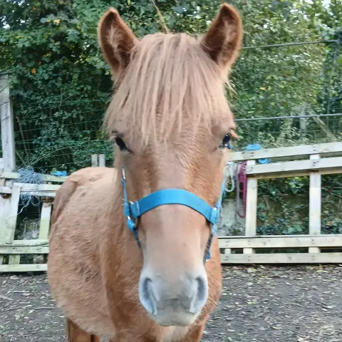 Oskar photo 3