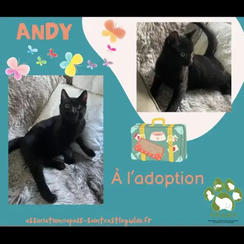 Andy photo 2