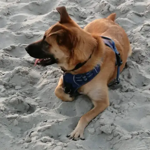Nelly photo 3