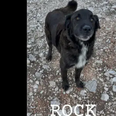 Rock 2