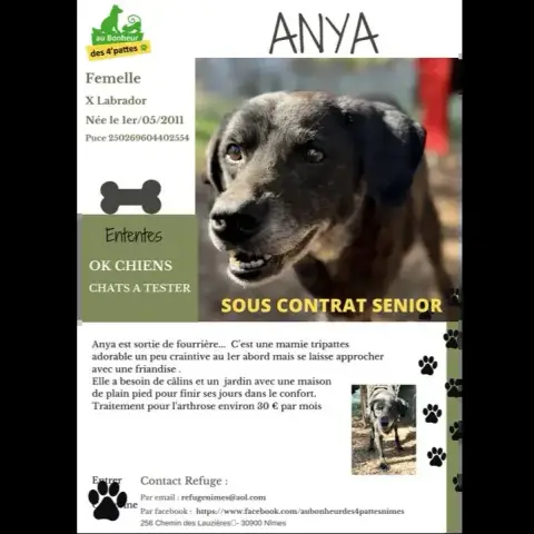Anya
