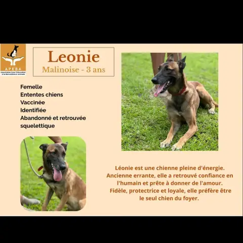 Léonie photo 3