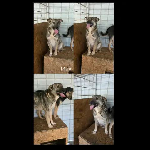 Max