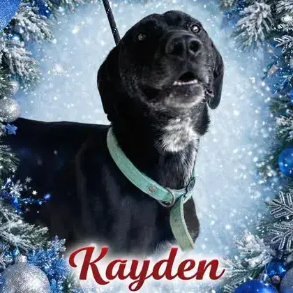 Kayden
